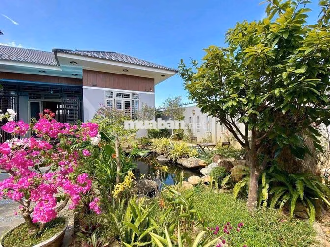 📌 Cho thuê nhà sân vườn siêu rộng Khu Hoà Quý , Ngũ Hành Sơn