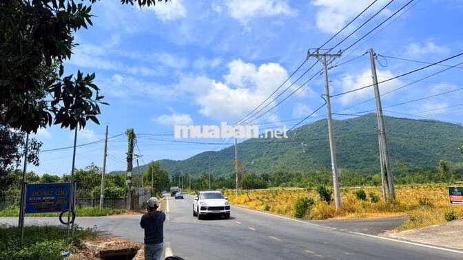 BÁN LÔ 240M2 GIÁ CHỈ 1Ty680 MẶT TIỀN ĐƯỜNG NGAY LAN RỪNG RESORT