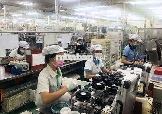 KCNC Thủ Đức - Bao Cơm Và Trọ - Tuyển 10 Nữ LDPT 