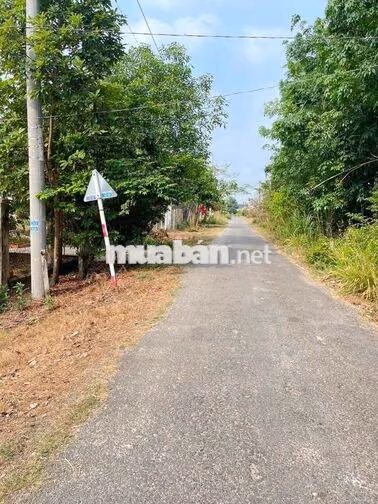 Bán đất 133m2 - 700triệu gần chợ Việt Kiều, Củ Chi SỔ HỒNG RIÊNG