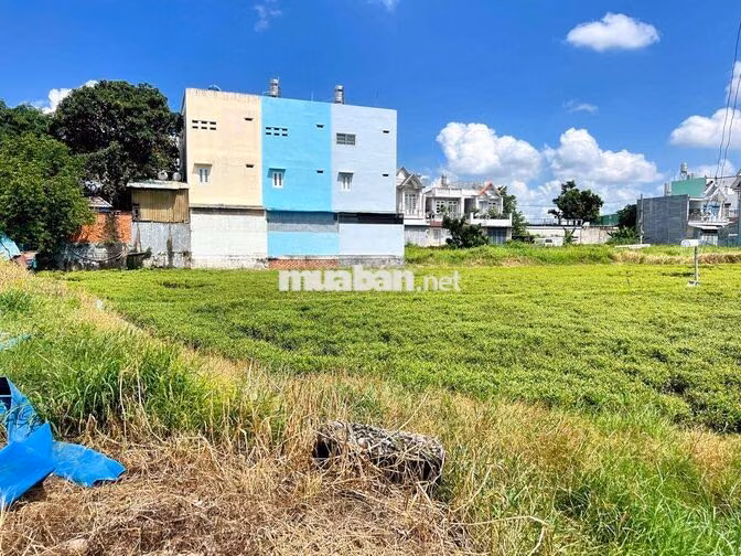 🌟LÔ ĐẤT LỚN MẶT TIỀN - NGUYỄN THỊ THỬ - NGANG KHỦNG 40M x DÀI 100M