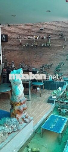 Cho Thuê Nhà Sân Vườn, HXH, / Cách Mạng Tháng Tám, P.15, Q.10. Gần MT