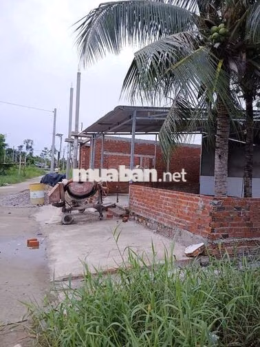 📍 BÁN NHANH LÔ ĐẤT THỔ CƯ 100% - SỔ RIÊNG - CÁCH QL1 CHỈ 50M Bạc Liêu