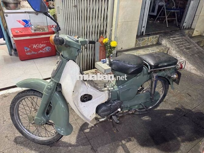 Honda Cub Xanh lá