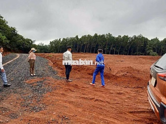Tiếc lắm nhưng phải Bán Lỗ Gấp mảnh đất 1000m2