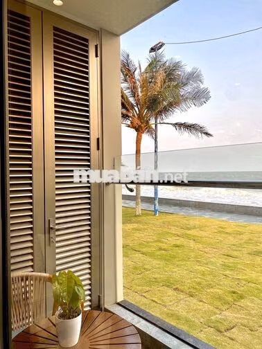 Căn Hộ Biển Cần Bán – Giá Tốt, Cam Kết Lợi Nhuận Hàng Tháng