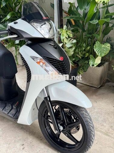 Honda SH 150 Tự động Trắng