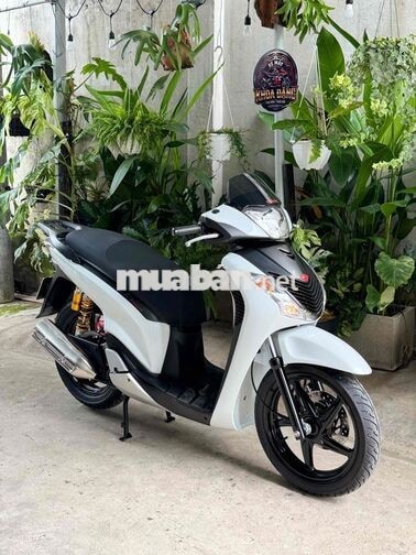Honda SH 150 Tự động Trắng