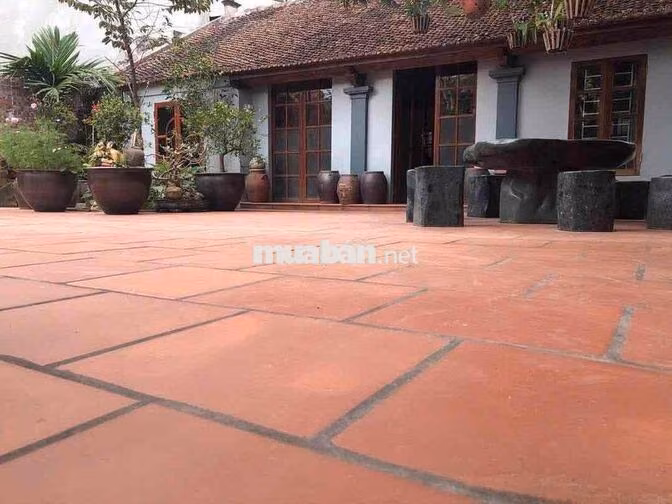 🍀🍀Cổ Bi - Gia Lâm 400 1 8 12triệu. 🍀🍀  CHO THUÊ NHÀ SÂN VƯỜN RỘNG
