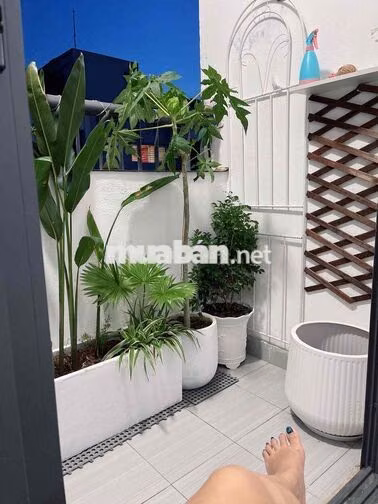 Chưa đến 1 tỷ BÁN CĂN CHUNG STUDIO CƯ TÂM HUYẾT