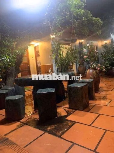 🌿 CỔ BI – NHÀ SÂN VƯỜN GẦN 400M² – Ô TÔ TẬN SÂN – 3PN – CHỈ 12TR/THÁNG