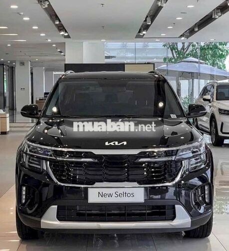 KIA SELTOS - ƯU ĐÃI GIẢM GIÁ - QUÀ TẶNG BHVC XE