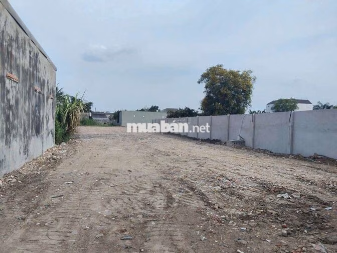 xưởng 1200 m² giá 22tr/ tháng Xuân Thới Sơn hóc môn