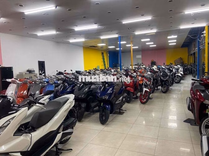 Honda SH Đa dạng màu sắc