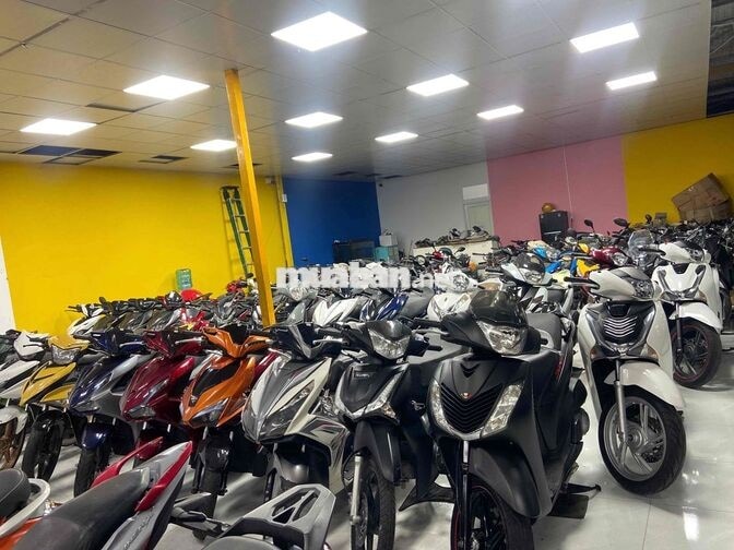 Honda SH Đa dạng màu sắc