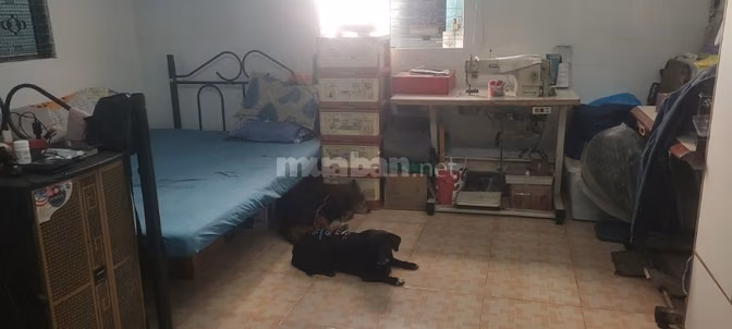Chính chủ cho thuê nhà 32m2 sát măt tiền đường ĐB Phủ , hẻm xe tải .