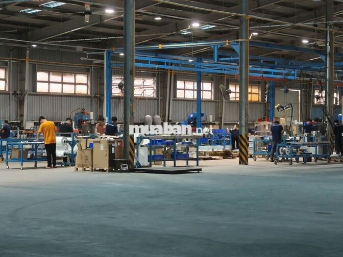 TUYỂN 15 NAM LAO ĐỘNG PHỔ THÔNG (TẠI BÌNH CHUẨN)
