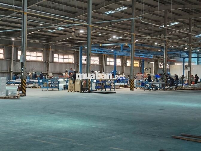 TUYỂN 15 NAM LAO ĐỘNG PHỔ THÔNG (TẠI BÌNH CHUẨN)