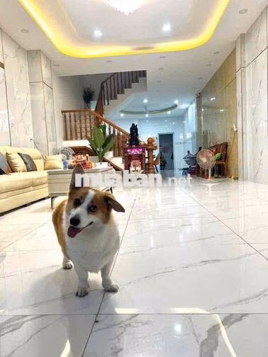 Nhà khu Tên Lửa đường nội bộ 5x20m 3.5 tấm giá 16.2 tỷ có thang máy