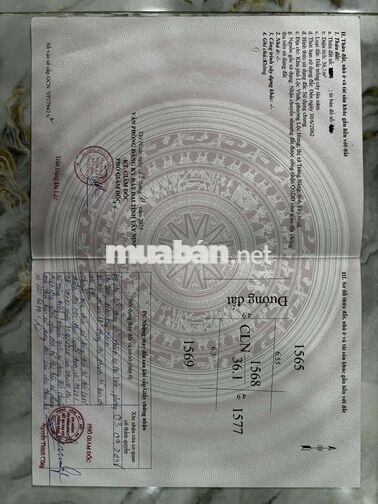 Cần bán đất ODT pháp lý chuẩn SHR