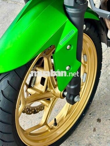 Kawasaki Z300 Xanh lá, Đen