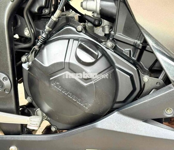Kawasaki Z300 Xanh lá, Đen
