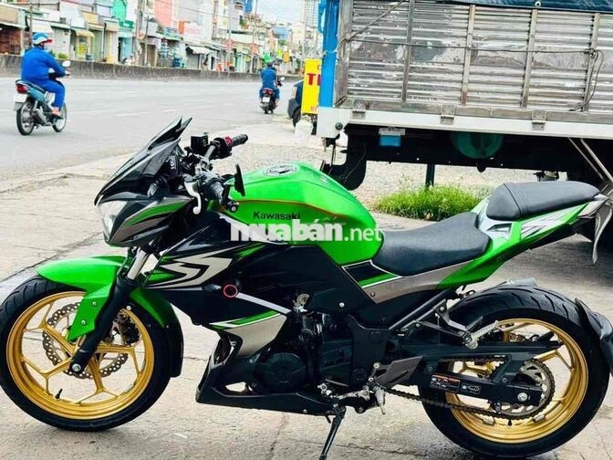 Kawasaki Z300 Xanh lá, Đen