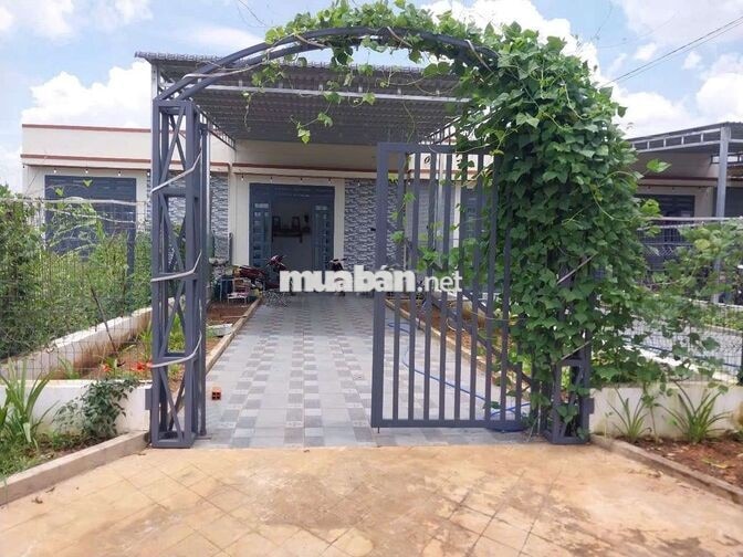Nhà và đất nền giá bao giá bao rẻ