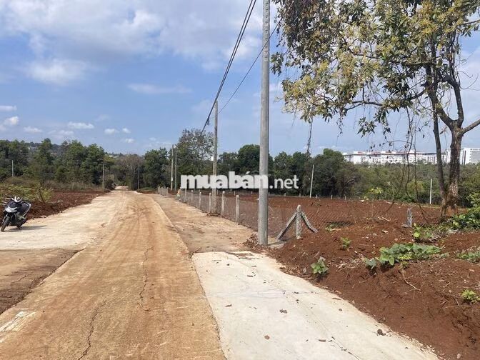 Đất hẻm xe ô tô 190 Trần Quý Cáp