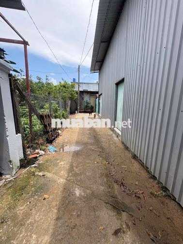 Bán gấp nhà Bình Chánh 700tr sổ chung
