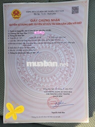 🔥 1.119M² ĐẤT BÌNH AN  | CÁCH SÂN BAY LONG THÀNH KHOẢNG 5KM 🔥