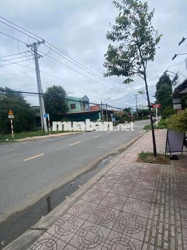 Cần bán đất full thổ cư 559m2 (Mặt tiền)