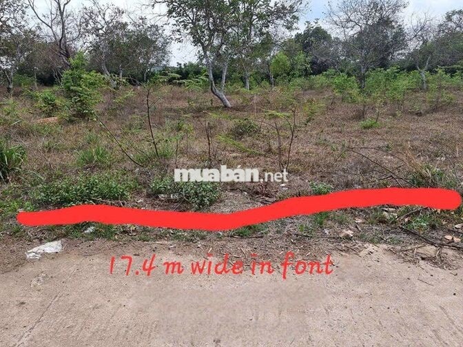 🔥 1.119M² ĐẤT BÌNH AN  | CÁCH SÂN BAY LONG THÀNH KHOẢNG 5KM 🔥