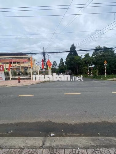 Cần bán đất full thổ cư 559m2 (Mặt tiền)