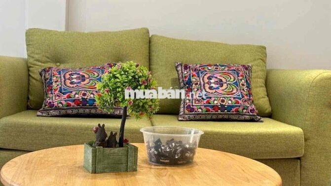 Cầm bán 2 căn hộ liền kề Q1 mặt tiền đường cống Quỳnh