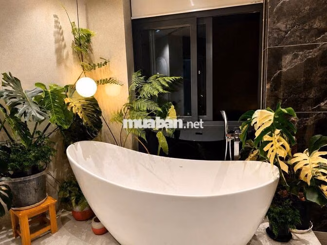 🏡 NHÀ ĐẸP ĐẶNG THẾ PHONG – KHÔNG GIAN SỐNG XANH GIỮA LÒNG THÀNH PHỐ