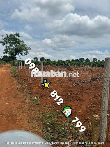 Đất đẹp 15x29m gần Kinh Tế Phía Đông, tách làm 3 lô cực ngon