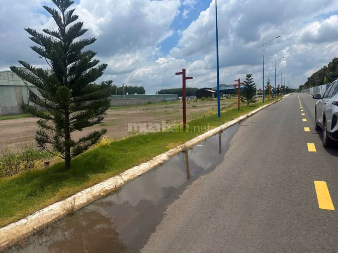 Bán lô đất 250m2 có sẵn 100 m2 thổ cư giá 240 triệu tại Xã Nha Bích tp