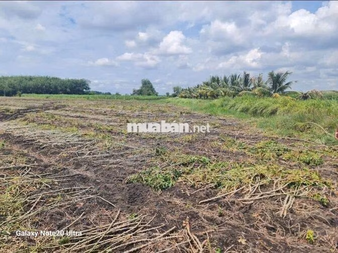 Bán đất vườn 4.228m2 mặt tiền kênh