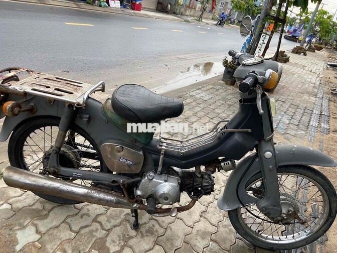 Honda Cub 50cc
