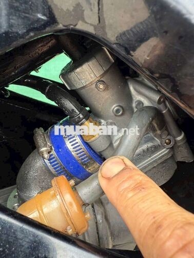 Honda Wave Đen xanh 54+3 pô êm