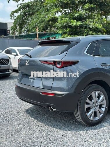 CX30 LUXURY GIÁ CHỈ TỪ 659 TRIỆU - TẶNG BẢO HIỂM