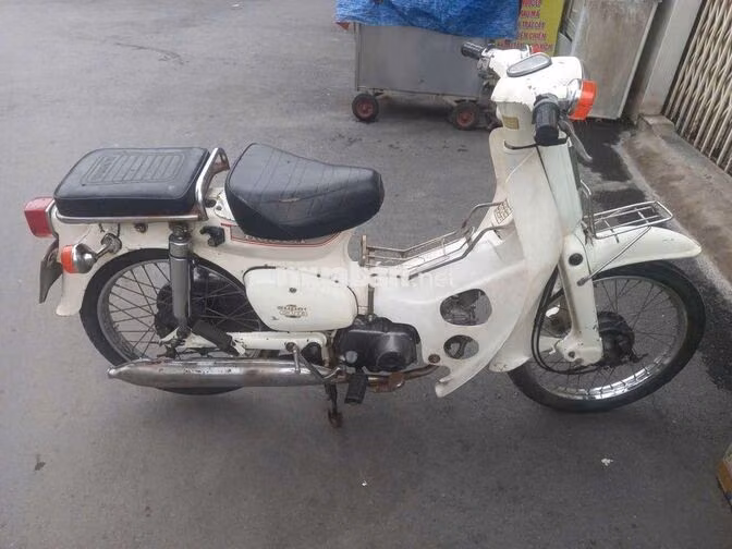 Honda Cup 81 50cc Trắng