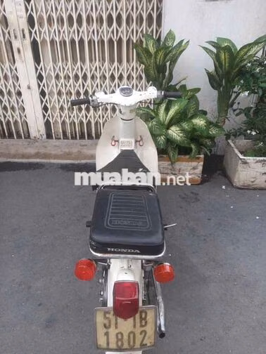 Honda Cup 81 50cc Trắng