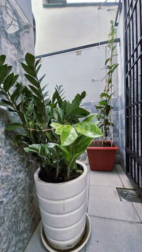 🌹🌹🌹 Nhà mới, Phạm Thế Hiển P7 Q8 53m2 2PN gần Chợ Phú Lợi 1 🌹🌹🌹