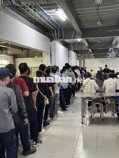 cần 100 nv làm điện tử bao cơm đi hctc