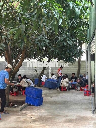 cần 100 nv làm điện tử bao cơm đi hctc