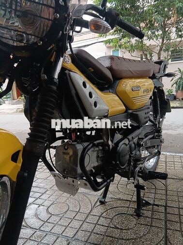 Yamaha PG-1 2024 Vàng 8000 km