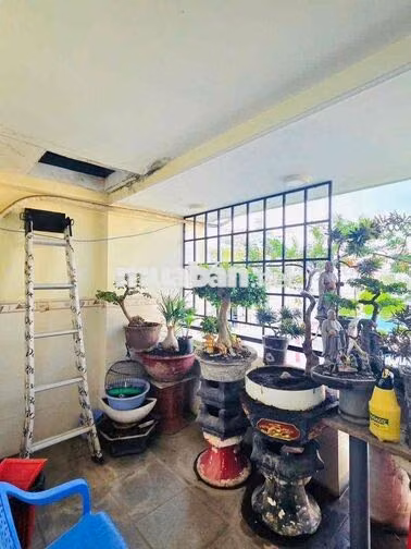 BÁN NHÀ HẼM 10M CMT8 QUẬN 3 DT 3.5 x 9 30m2 6 TẦNG GIÁ 10 TỶ TL