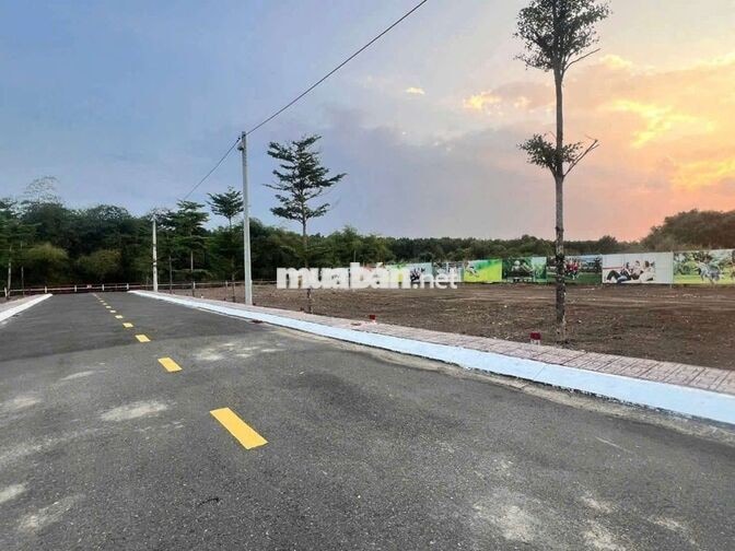 Giá sốc, 100m2 đường nhựa 6m, đối diện tổng kho và đại đô thị 351ha
